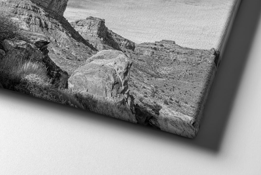 Red Rock Landscape Picasso Canvas Print Valley of the Gods, Utah