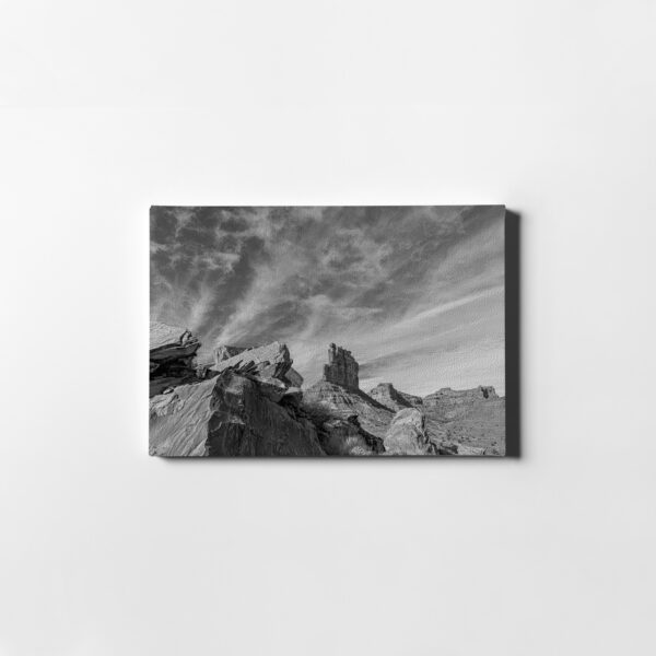 Red Rock Landscape Saddle Leather Print Valley of the Gods, Utah